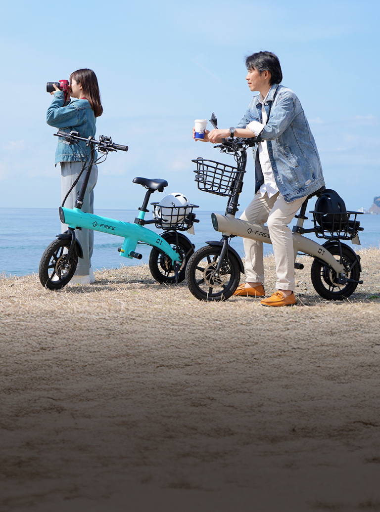 e-free,efree,イーフリー,特例,特定,小型,原動機付,自転車,カーメイト,carmate,国土交通省,適合品