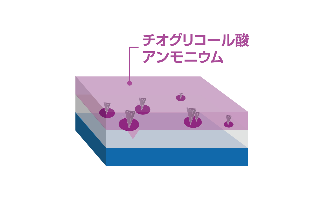 化学分解 ＆ 吸着