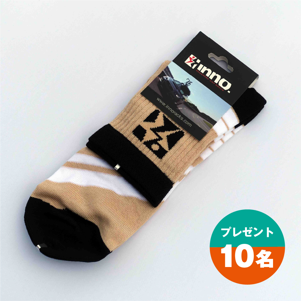 プレゼント INNOくつした