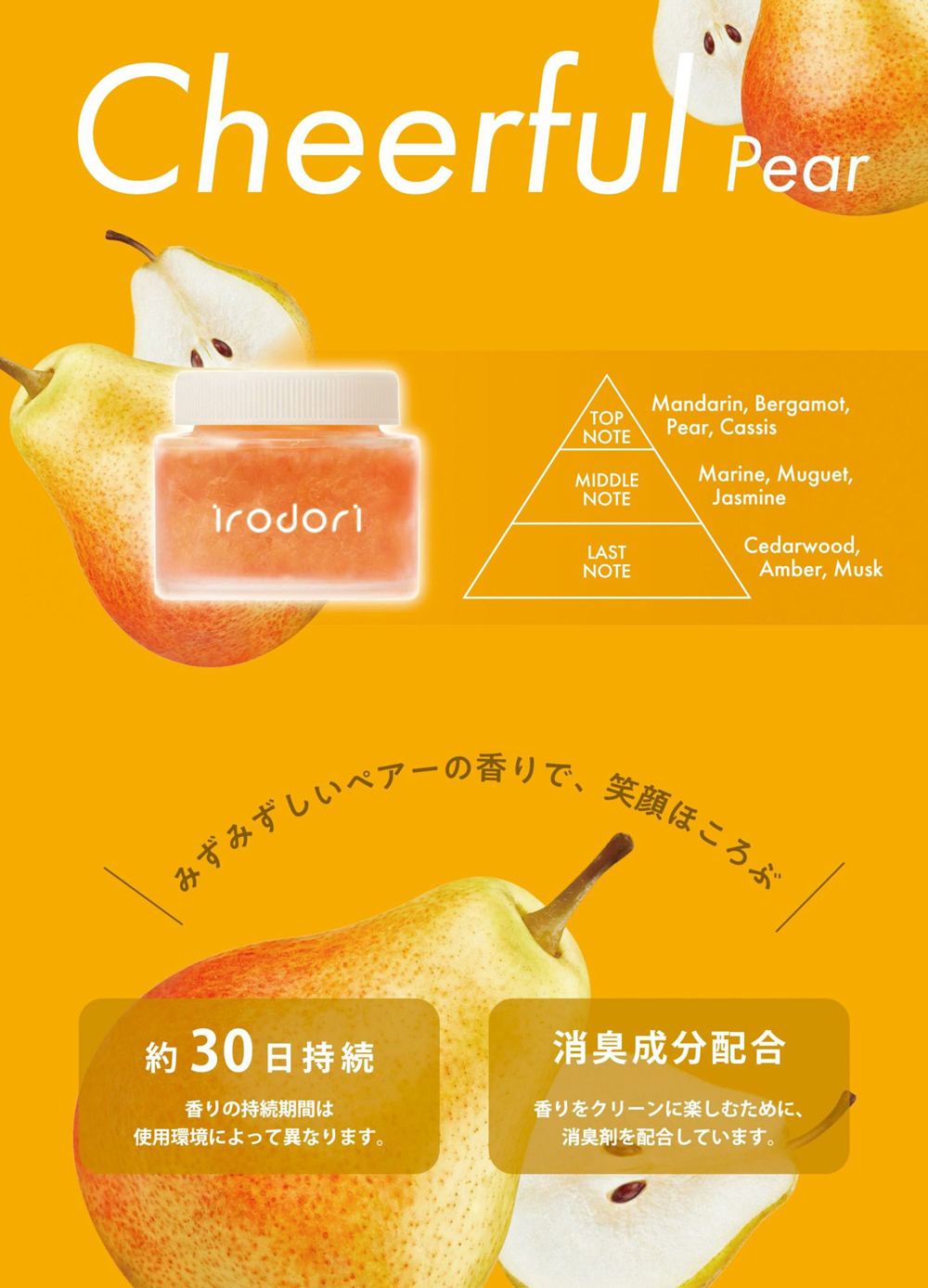 irodori チアフルペアー