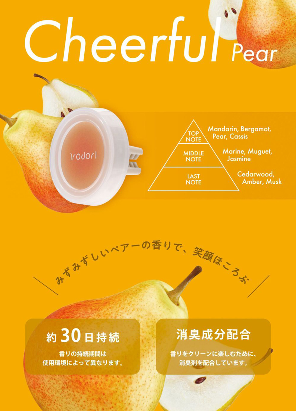 irodori チアフルペアー